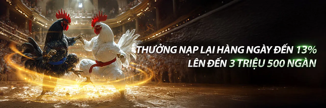 Các ưu đãi hấp dẫn và chương trình khuyến mãi độc quyền tại Raybet Login 2026